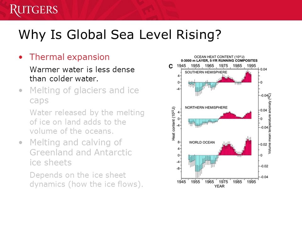 Why Is Global Sea Level Rising. Thermal expansion Warmer water is less dense than colder water.