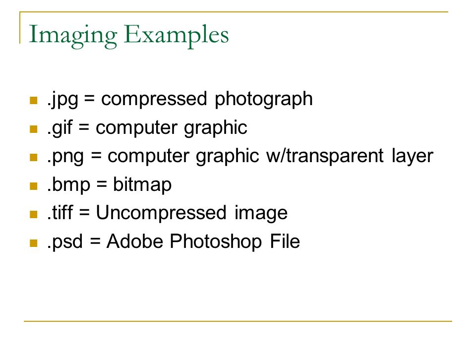 Imaging Examples.jpg = compressed photograph.gif = computer graphic.png = computer graphic w/transparent layer.bmp = bitmap.tiff = Uncompressed image.psd = Adobe Photoshop File