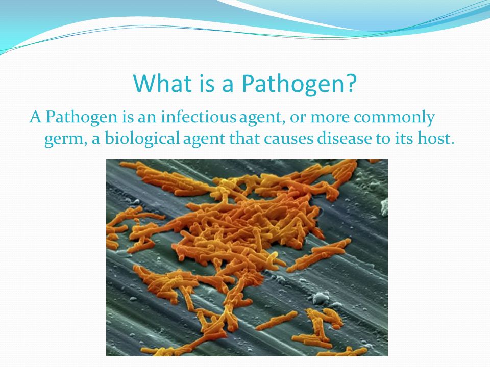What is a Pathogen.