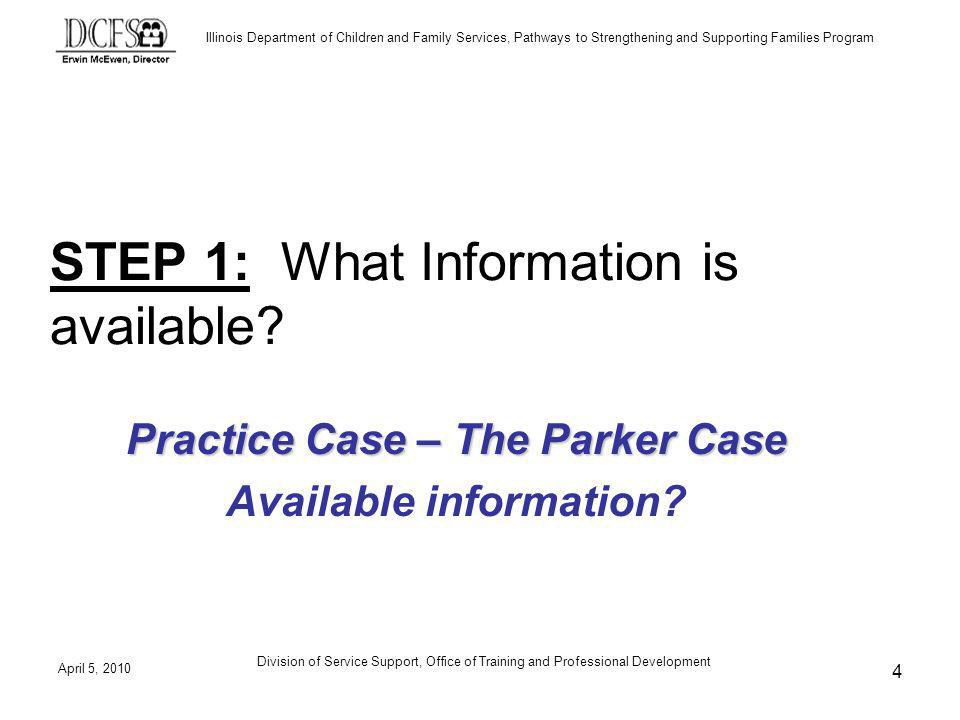 Illinois Department of Children and Family Services, Pathways to Strengthening and Supporting Families Program April 5, 2010 Division of Service Support, Office of Training and Professional Development 4 STEP 1: What Information is available.