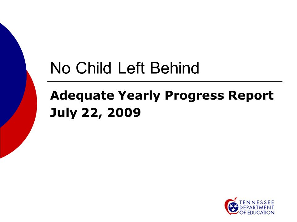No Child Left Behind Adequate Yearly Progress Report July 22, 2009