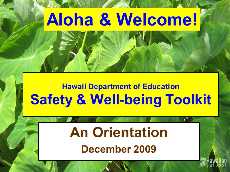 Alloha welcomes you что это. Safety & Wellbeing. Alloha Welcomes you. Alloha Welcomes you на экране что это. Aloha Welcomes you.