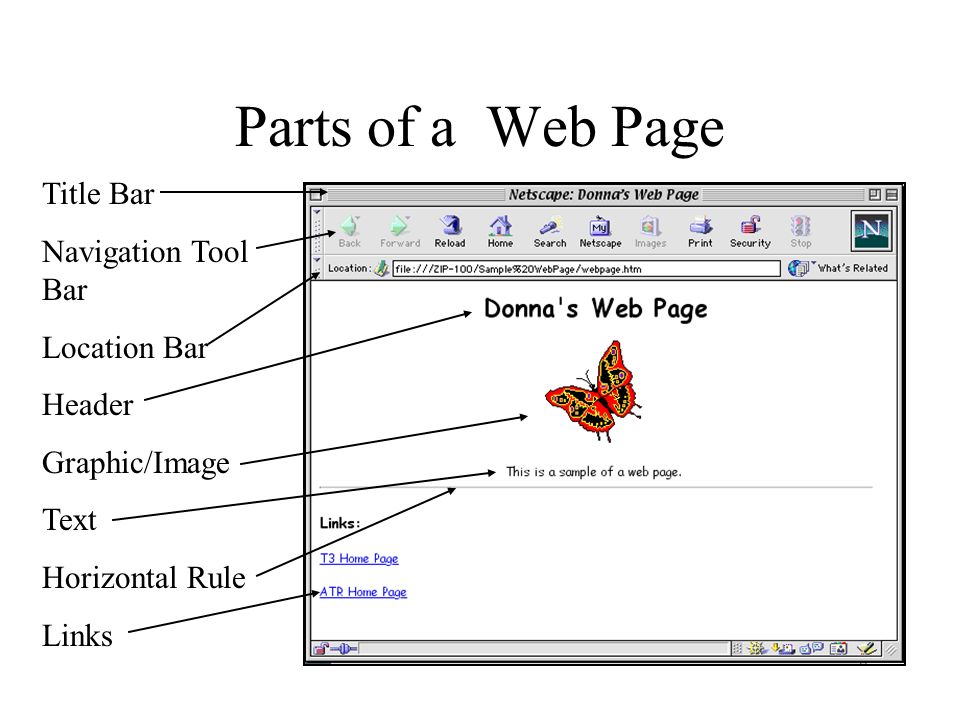 Parts of a Web Page Title Bar Navigation Tool Bar Location Bar Header Graphic/Image Text Horizontal Rule Links