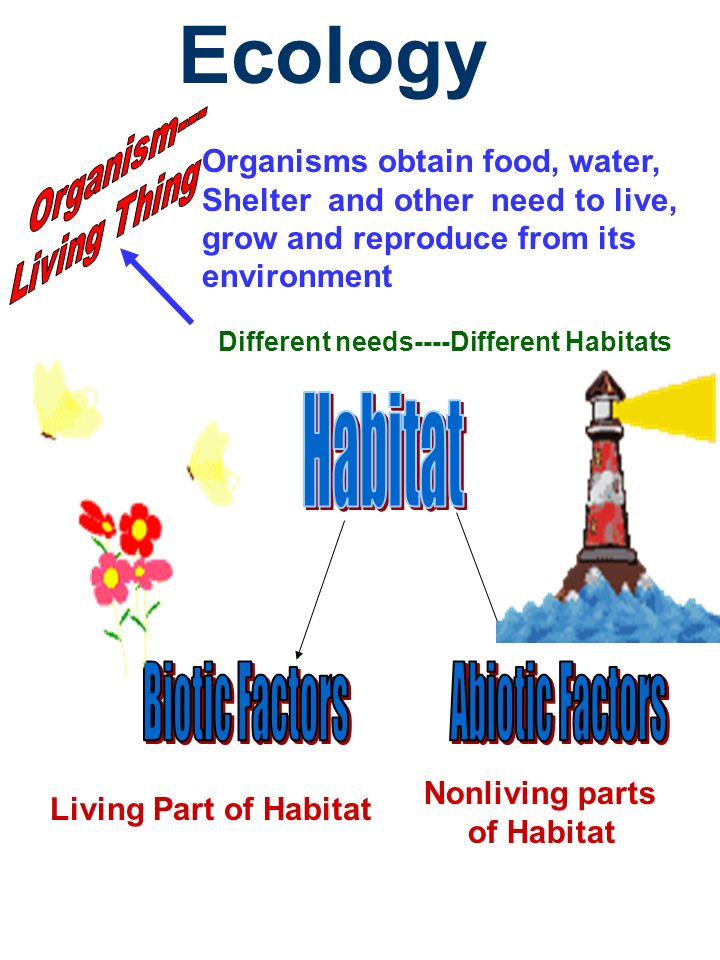 Ecology Organisms obtain food, water, Shelter and other need to live, grow and reproduce from its environment Different needs----Different Habitats Living Part of Habitat Nonliving parts of Habitat