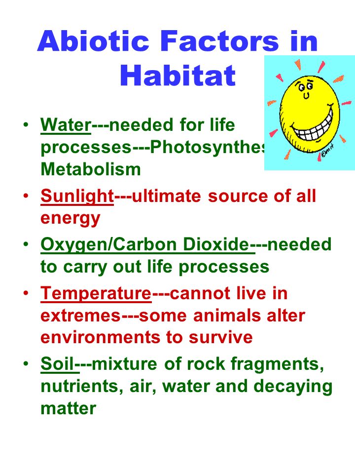 Abiotic Factors in Habitat Water---needed for life processes---Photosynthesis and Metabolism Sunlight---ultimate source of all energy Oxygen/Carbon Dioxide---needed to carry out life processes Temperature---cannot live in extremes---some animals alter environments to survive Soil---mixture of rock fragments, nutrients, air, water and decaying matter