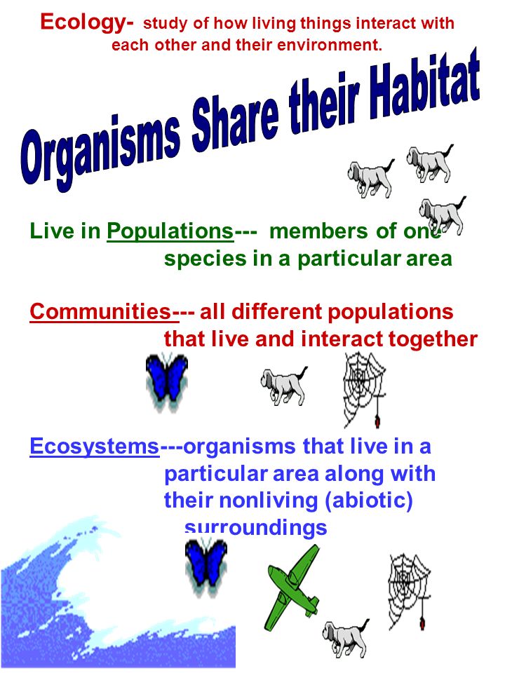 Live in Populations--- members of one species in a particular area Communities--- all different populations that live and interact together Ecosystems---organisms that live in a particular area along with their nonliving (abiotic) surroundings Ecology- study of how living things interact with each other and their environment.