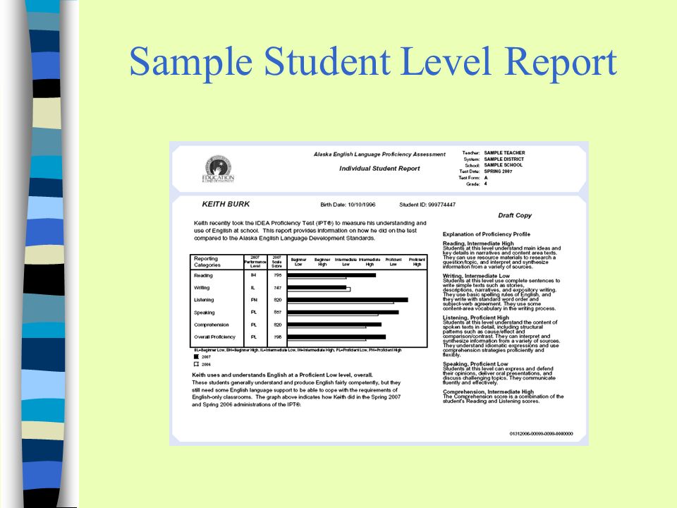 Sample Student Level Report