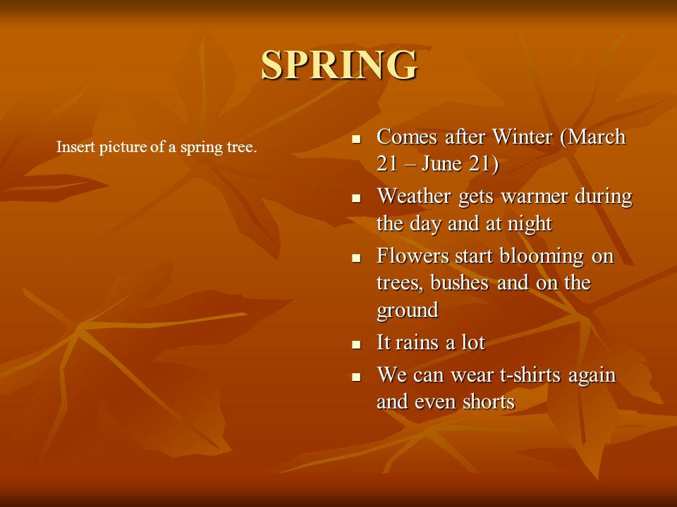 SPRING Comes after Winter (March 21 – June 21) Comes after Winter (March 21 – June 21) Weather gets warmer during the day and at night Weather gets warmer during the day and at night Flowers start blooming on trees, bushes and on the ground Flowers start blooming on trees, bushes and on the ground It rains a lot It rains a lot We can wear t-shirts again and even shorts We can wear t-shirts again and even shorts Insert picture of a spring tree.
