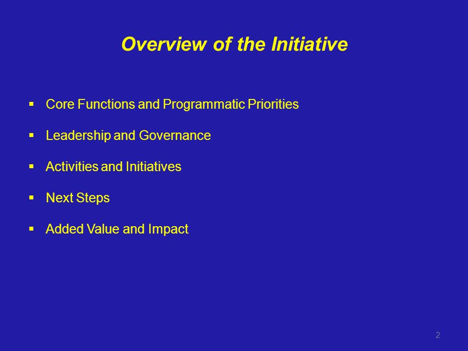 Overview of the Initiative Core Functions and Programmatic Priorities Leadership and Governance Activities and Initiatives Next Steps Added Value and Impact 2