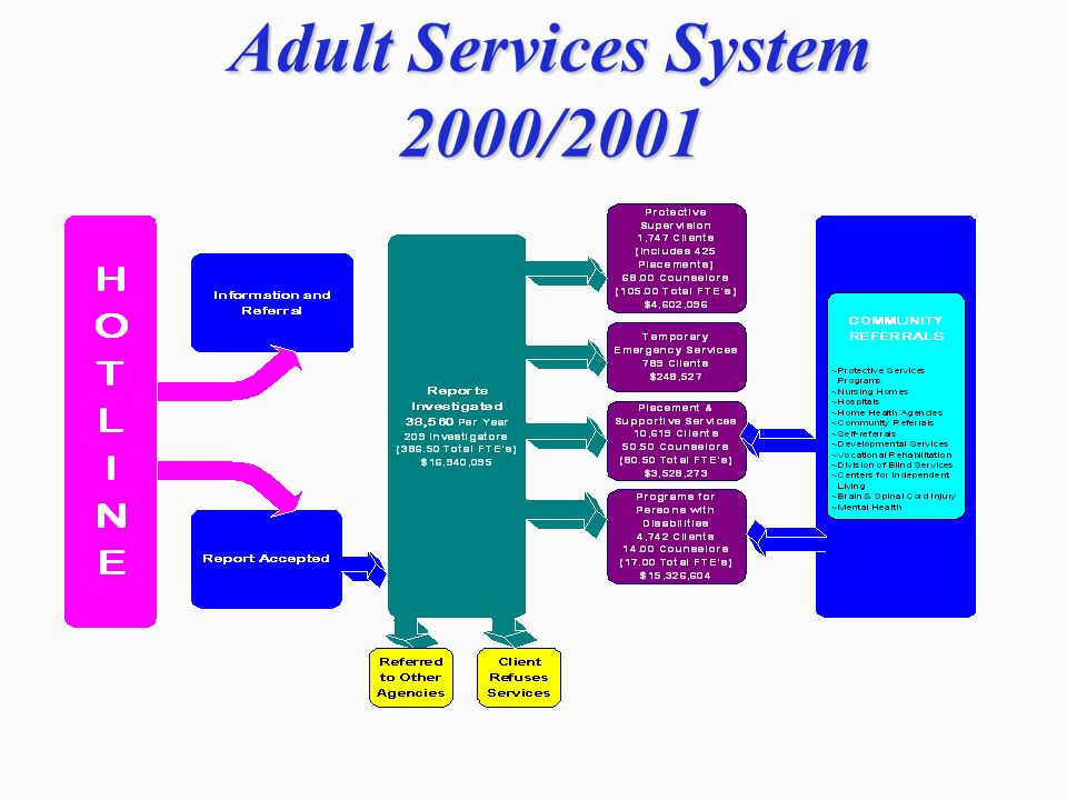 Adult Services System 2000/2001