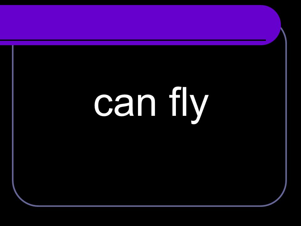 can fly