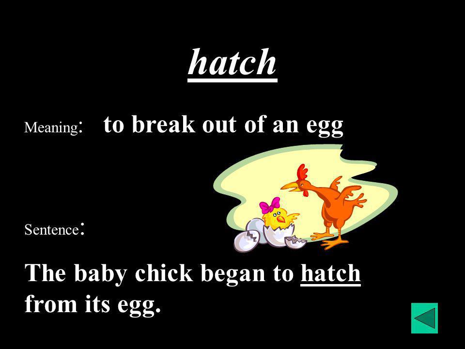 Vocabulary : The Emperors Egg flippers, hatch, miserable, slippery,  waddled, horizon. - ppt download