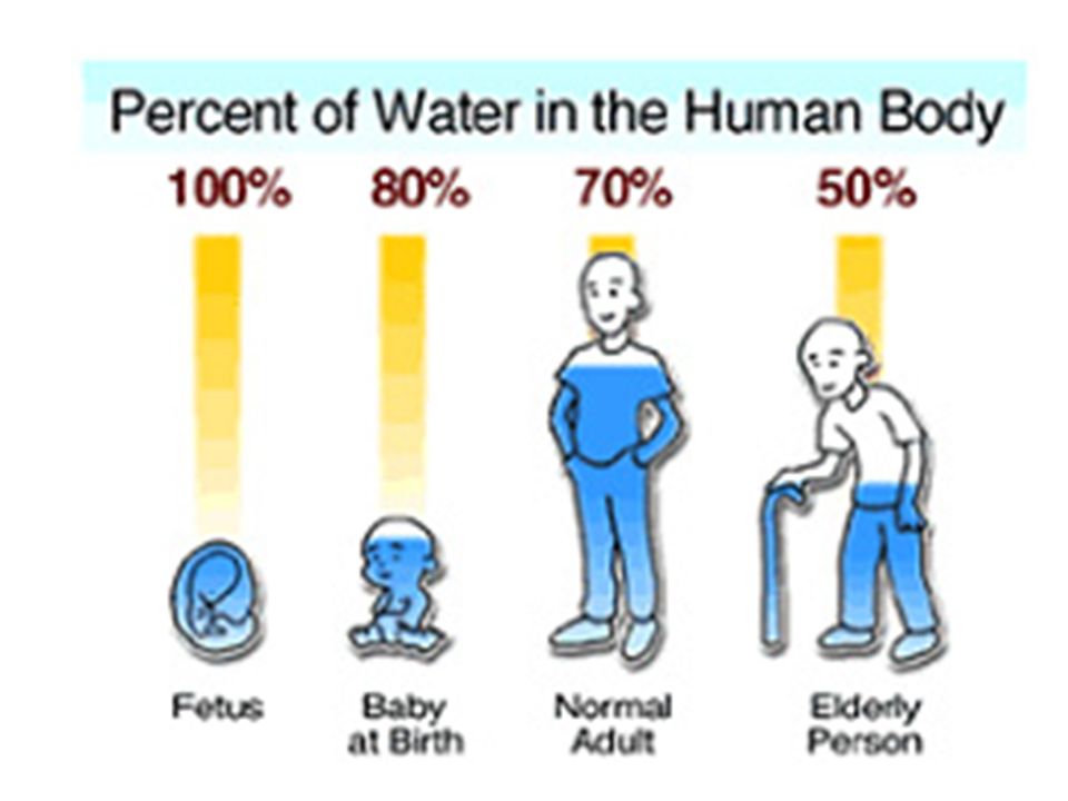 Cual es el porcentaje de agua en el cuerpo humano