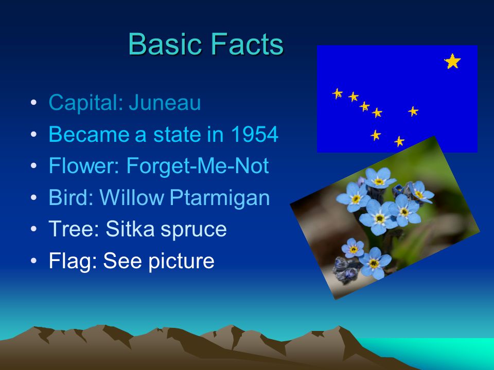 Basic Facts Capital: Juneau Became a state in 1954 Flower: Forget-Me-Not Bird: Willow Ptarmigan Tree: Sitka spruce Flag: See picture