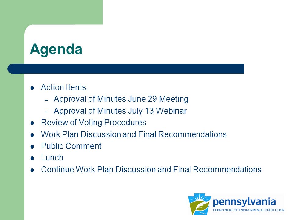 Agenda Action Items: – Approval of Minutes June 29 Meeting – Approval of Minutes July 13 Webinar Review of Voting Procedures Work Plan Discussion and Final Recommendations Public Comment Lunch Continue Work Plan Discussion and Final Recommendations