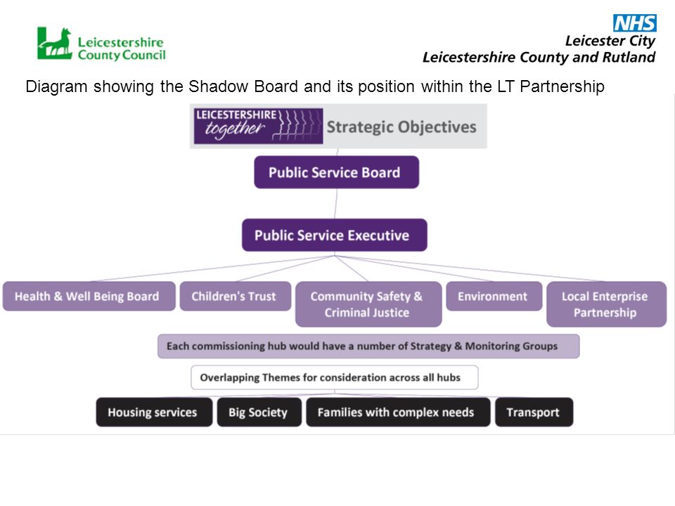 Diagram showing the Shadow Board and its position within the LT Partnership