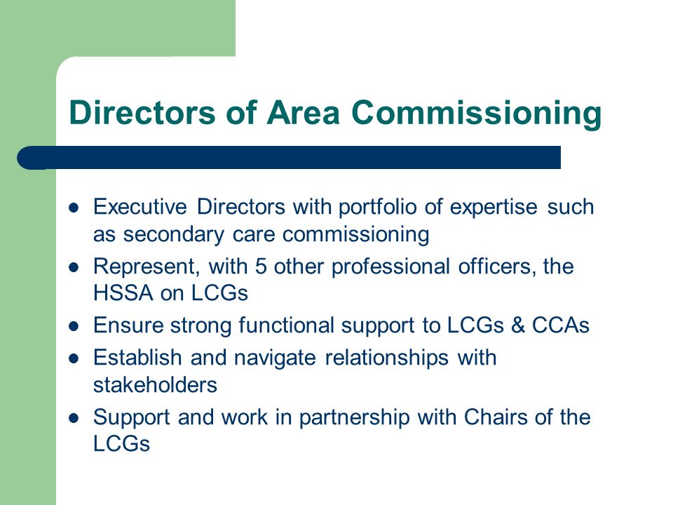 Directors of Area Commissioning Executive Directors with portfolio of expertise such as secondary care commissioning Represent, with 5 other professional officers, the HSSA on LCGs Ensure strong functional support to LCGs & CCAs Establish and navigate relationships with stakeholders Support and work in partnership with Chairs of the LCGs