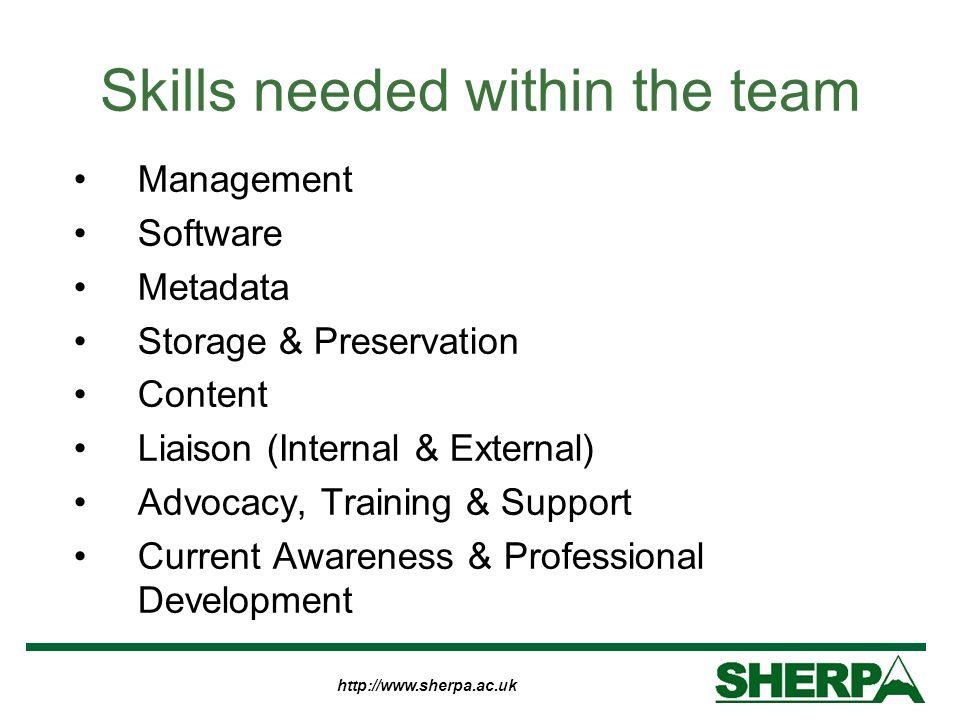 Skills needed within the team Management Software Metadata Storage & Preservation Content Liaison (Internal & External) Advocacy, Training & Support Current Awareness & Professional Development
