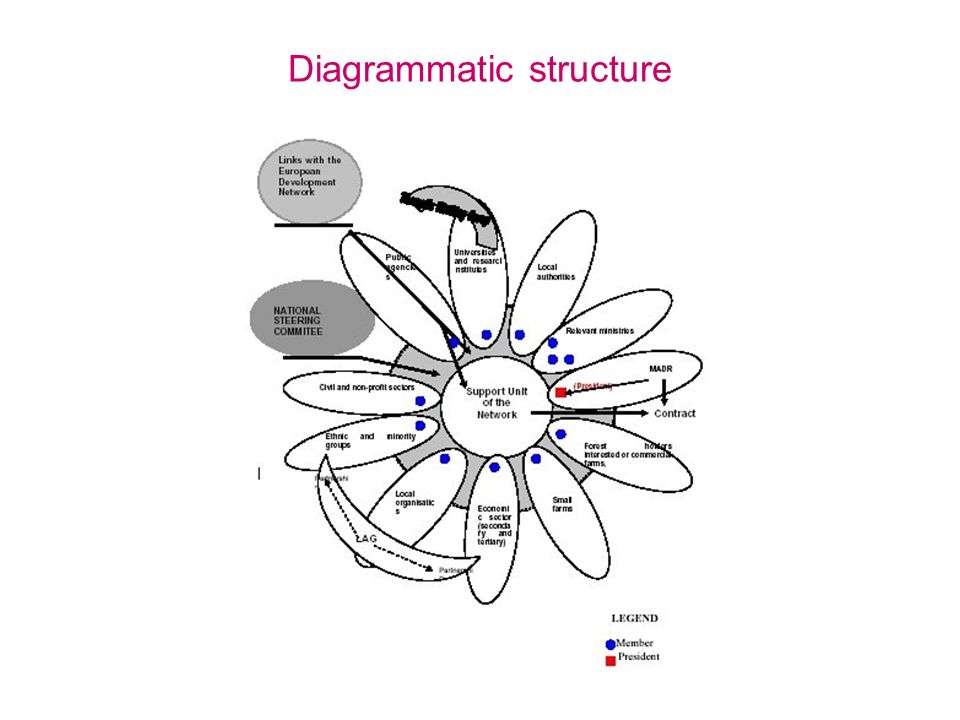 Diagrammatic structure
