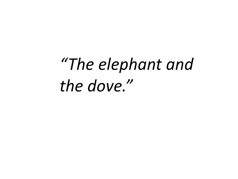 The elephant and the dove.