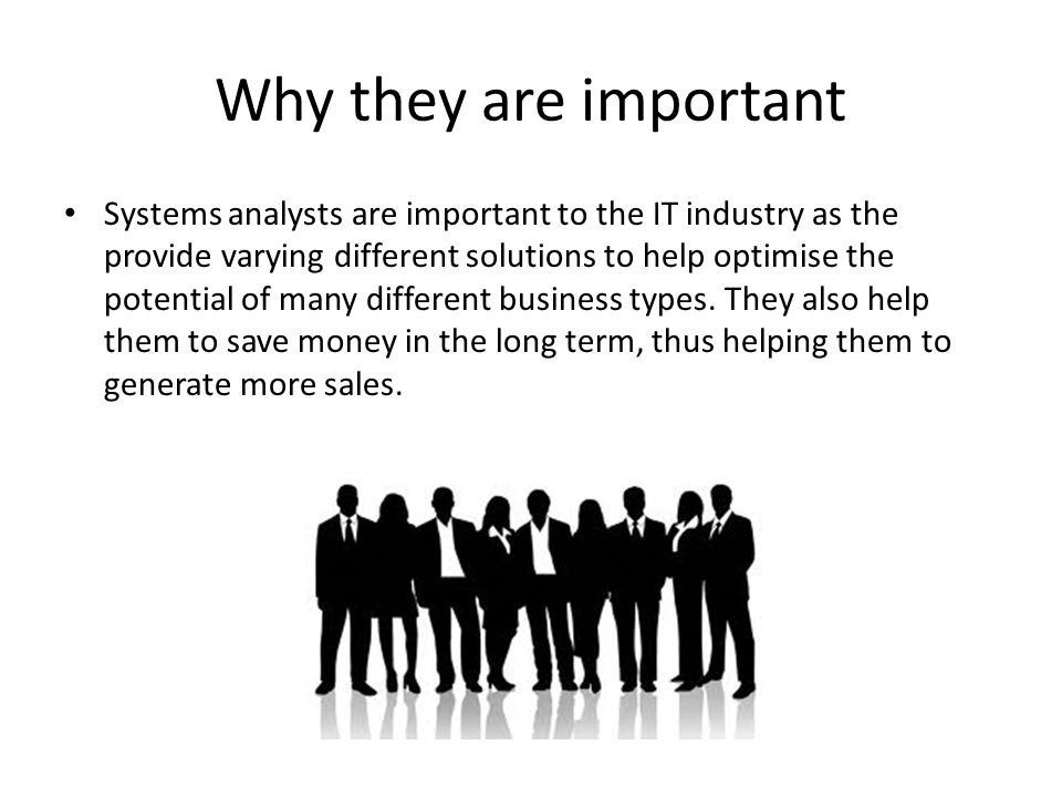 Why they are important Systems analysts are important to the IT industry as the provide varying different solutions to help optimise the potential of many different business types.