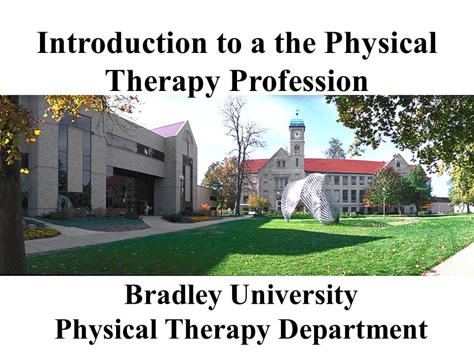 Bradley University Physical Therapy Department Introduction to a the Physical Therapy Profession