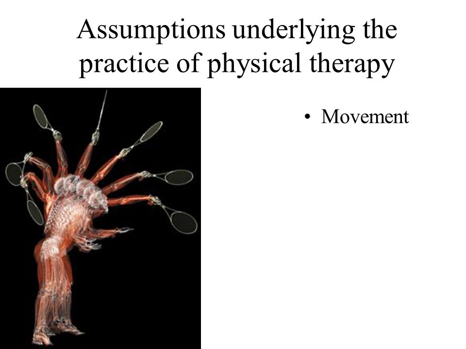 Assumptions underlying the practice of physical therapy Movement