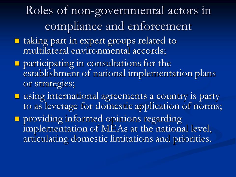 Roles of non-governmental actors in compliance and enforcement taking part in expert groups related to multilateral environmental accords; taking part in expert groups related to multilateral environmental accords; participating in consultations for the establishment of national implementation plans or strategies; participating in consultations for the establishment of national implementation plans or strategies; using international agreements a country is party to as leverage for domestic application of norms; using international agreements a country is party to as leverage for domestic application of norms; providing informed opinions regarding implementation of MEAs at the national level, articulating domestic limitations and priorities.