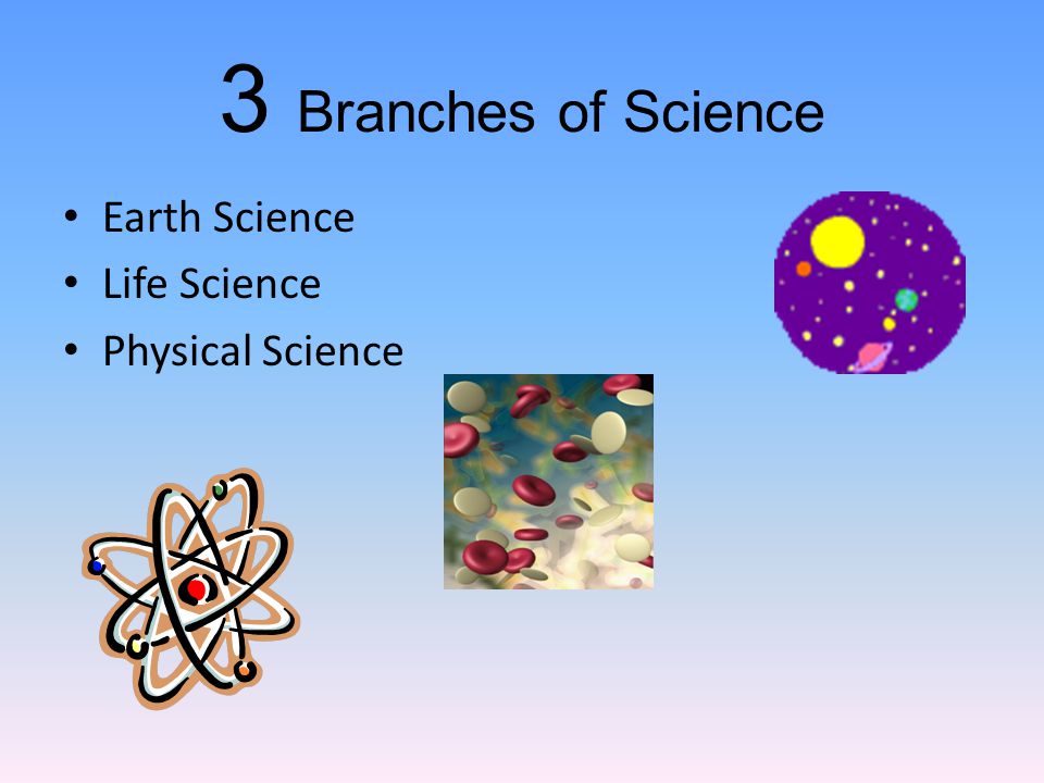 3 Branches of Science Earth Science Life Science Physical Science
