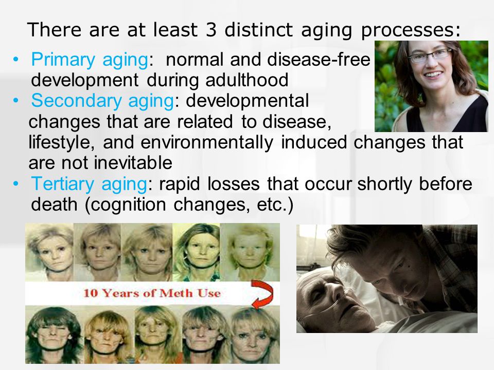 primary and secondary aging