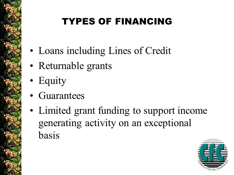 TYPES OF FINANCING Loans including Lines of Credit Returnable grants Equity Guarantees Limited grant funding to support income generating activity on an exceptional basis