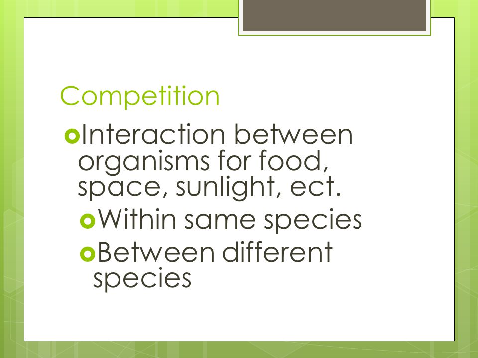 Competition  Interaction between organisms for food, space, sunlight, ect.