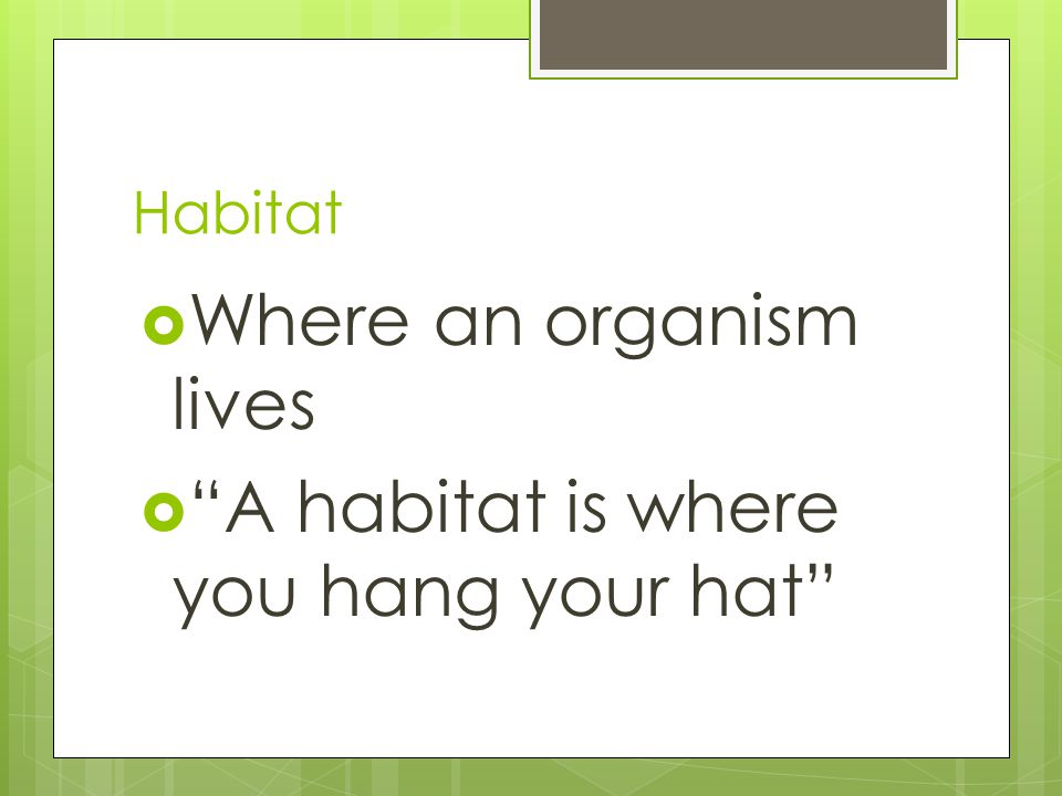 Habitat  Where an organism lives  A habitat is where you hang your hat
