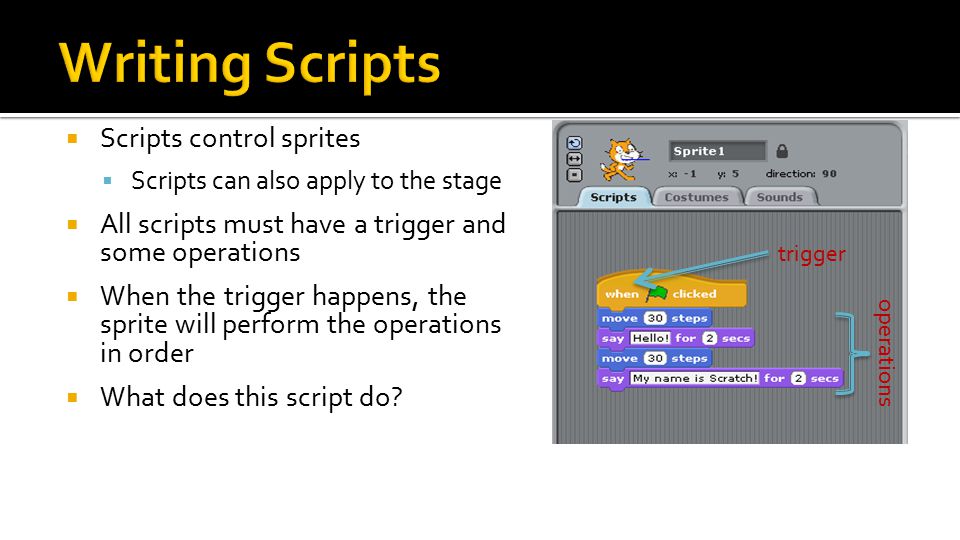 Scripts control sprites  Scripts can also apply to the stage  All scripts must have a trigger and some operations  When the trigger happens, the sprite will perform the operations in order  What does this script do.