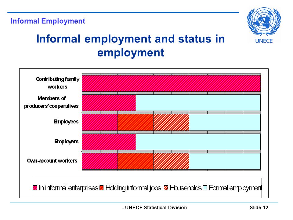 - UNECE Statistical Division Slide 12 Informal employment and status in employment Informal Employment