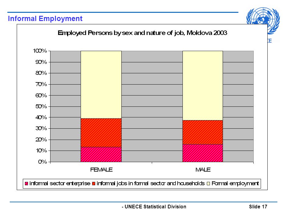 - UNECE Statistical Division Slide 17 Informal Employment