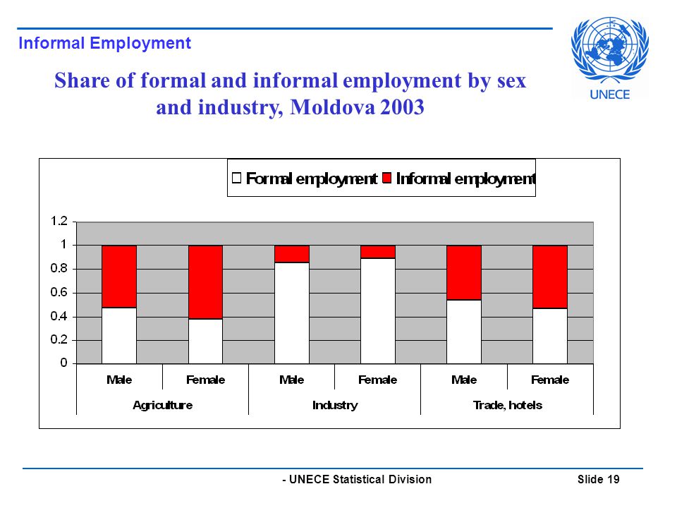 - UNECE Statistical Division Slide 19 Informal Employment Share of formal and informal employment by sex and industry, Moldova 2003