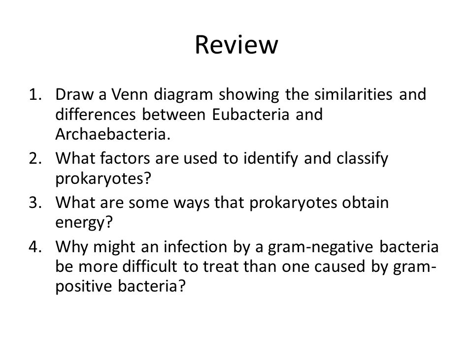there are one hundred thousand bacteria squirming around on every eubacteria vs archaebacteria venn diagram