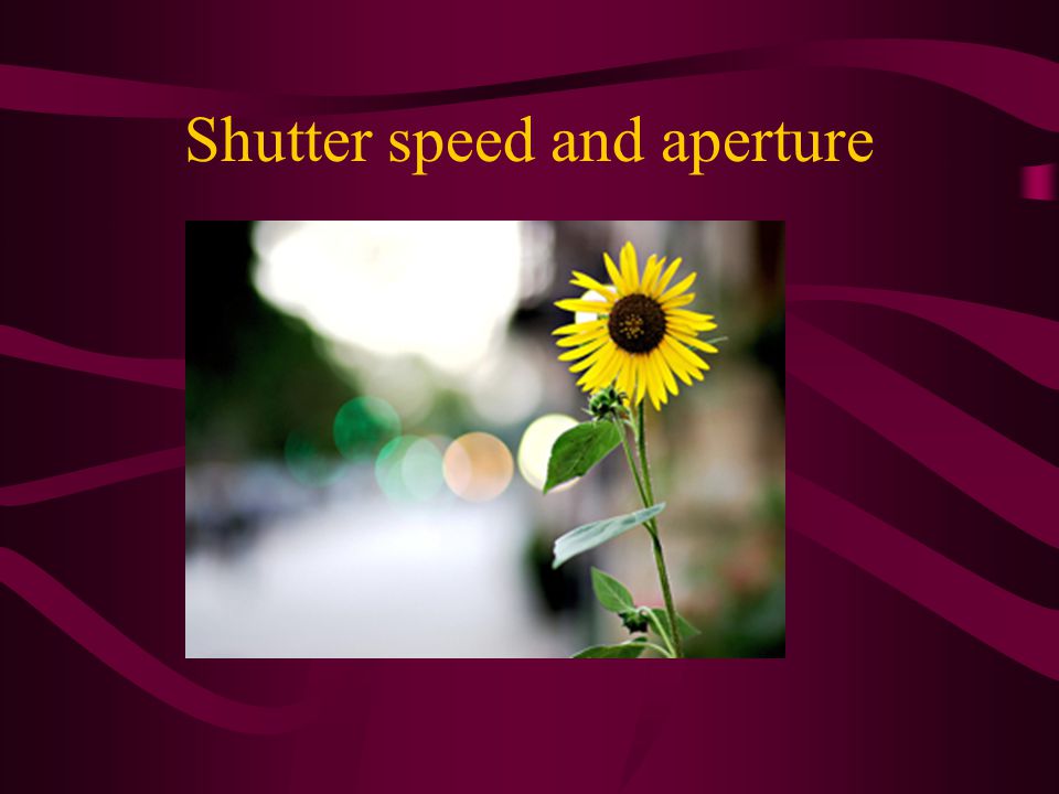 Shutter speed and aperture