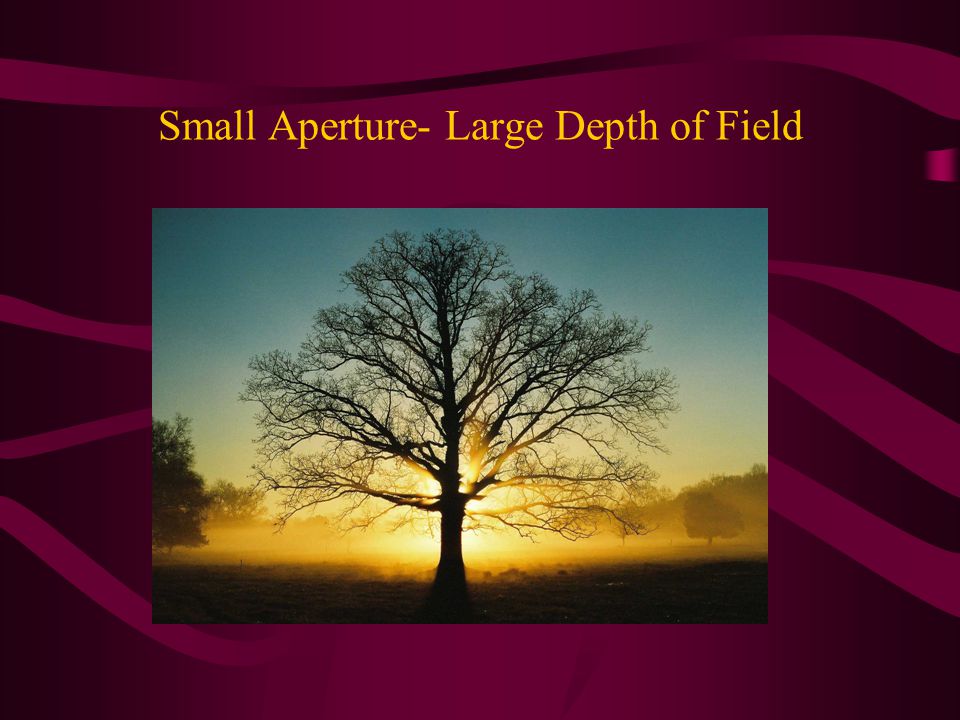 Small Aperture- Large Depth of Field