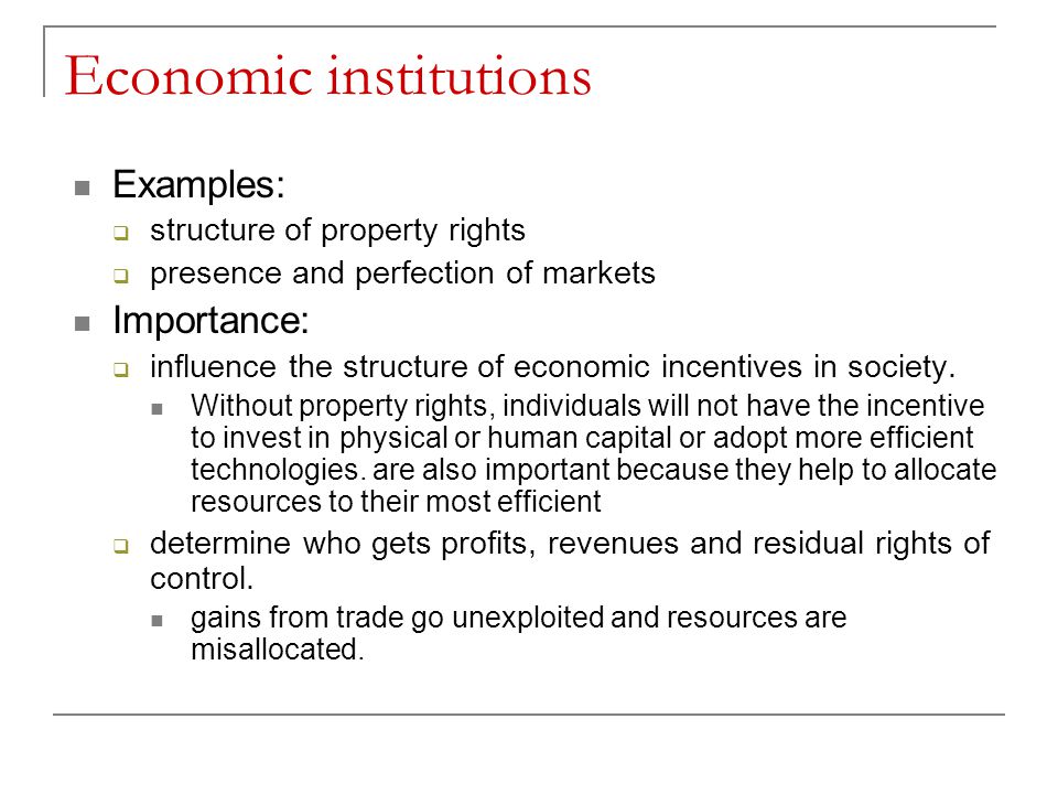 Economic institutions Examples:  structure of property rights  presence and perfection of markets Importance:  influence the structure of economic incentives in society.