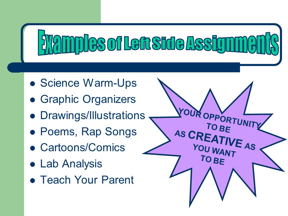 Science Warm-Ups Graphic Organizers Drawings/Illustrations Poems, Rap Songs Cartoons/Comics Lab Analysis Teach Your Parent YOUR OPPORTUNITY TO BE AS CREATIVE AS YOU WANT TO BE