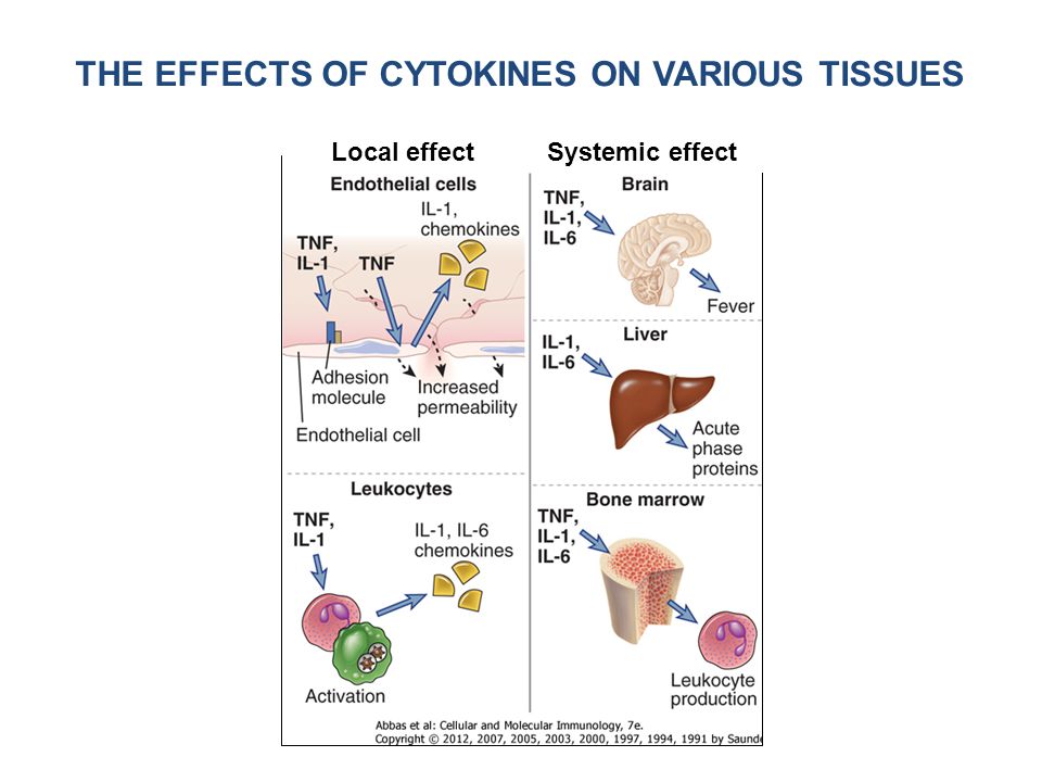THE EFFECTS OF CYTOKINES ON VARIOUS TISSUES Local effect Systemic effect
