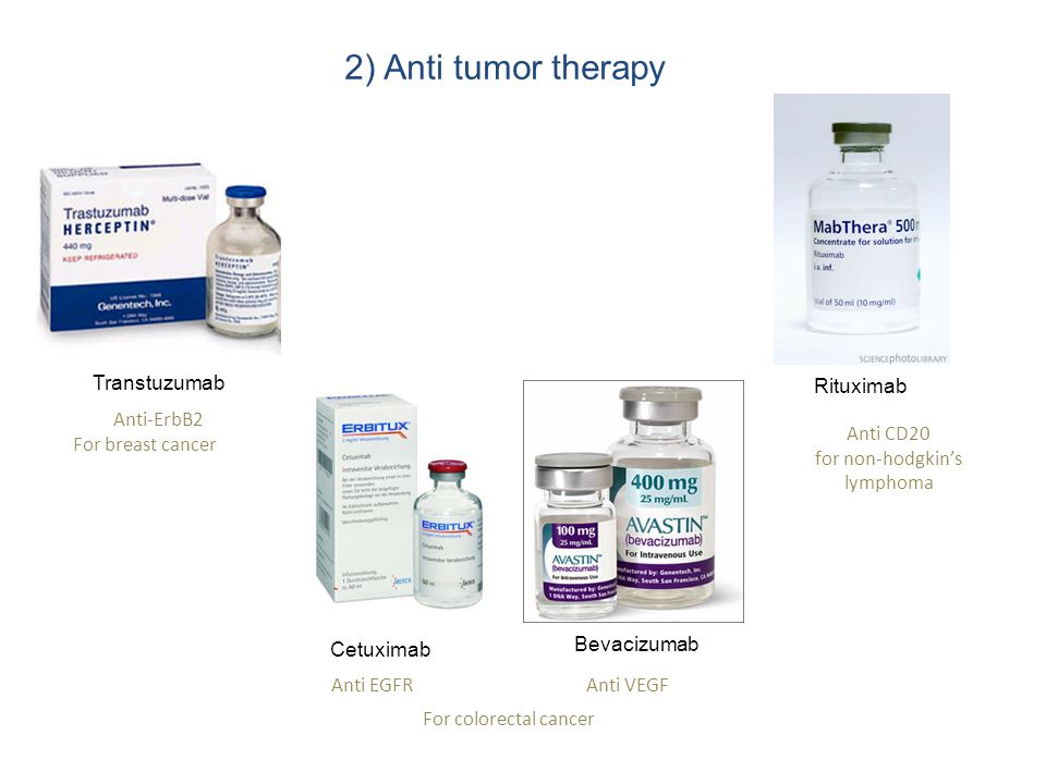 Rituximab Transtuzumab Bevacizumab Cetuximab 2) Anti tumor therapy Anti CD20 for non-hodgkin’s lymphoma Anti EGFRAnti VEGF For colorectal cancer Anti-ErbB2 For breast cancer