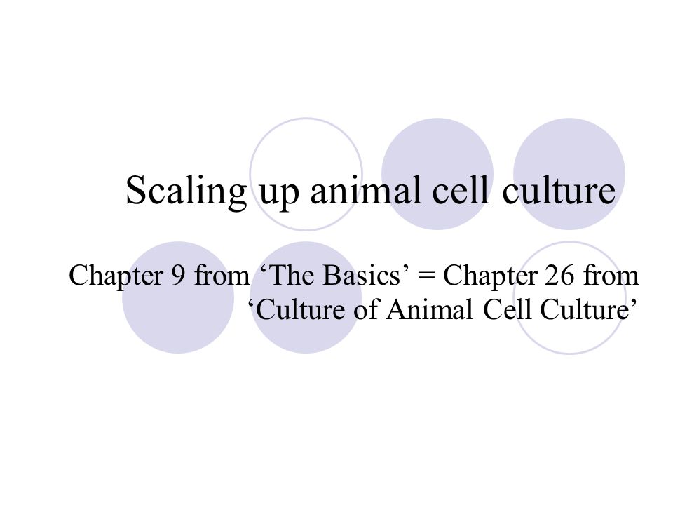 Scaling up animal cell culture Chapter 9 from 'The Basics' = Chapter 26  from 'Culture of Animal Cell Culture' - ppt download