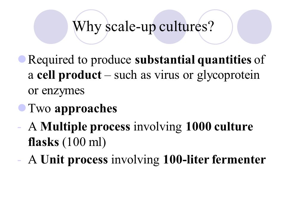 Scaling up animal cell culture Chapter 9 from 'The Basics' = Chapter 26  from 'Culture of Animal Cell Culture' - ppt download