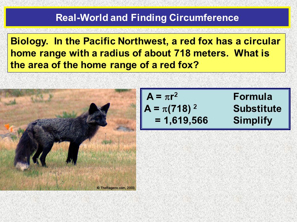 Real-World and Finding Circumference Biology.