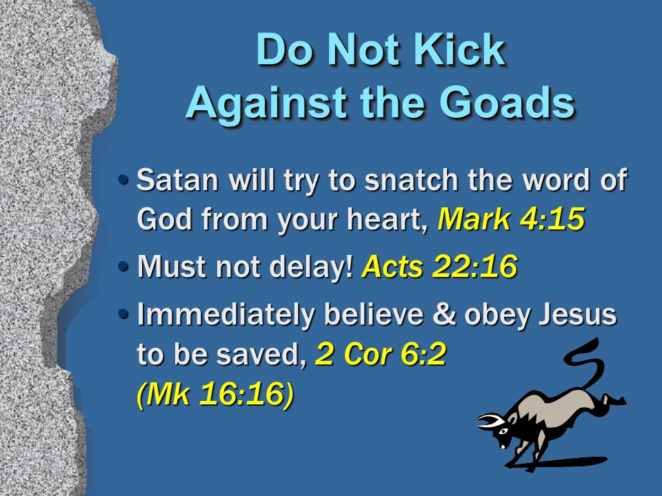 Do Not Kick Against the Goads Satan will try to snatch the word of God from your heart, Mark 4:15 Must not delay.