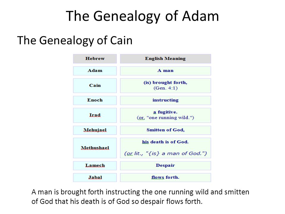 The Genealogy of Adam The Genealogy of Cain A man is brought forth instructing the one running wild and smitten of God that his death is of God so despair flows forth.