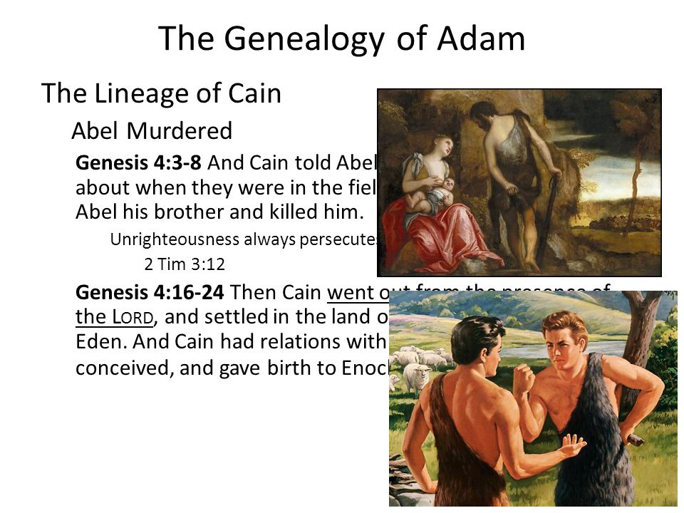 The Genealogy of Adam The Lineage of Cain Abel Murdered Genesis 4:3-8 And Cain told Abel his brother.